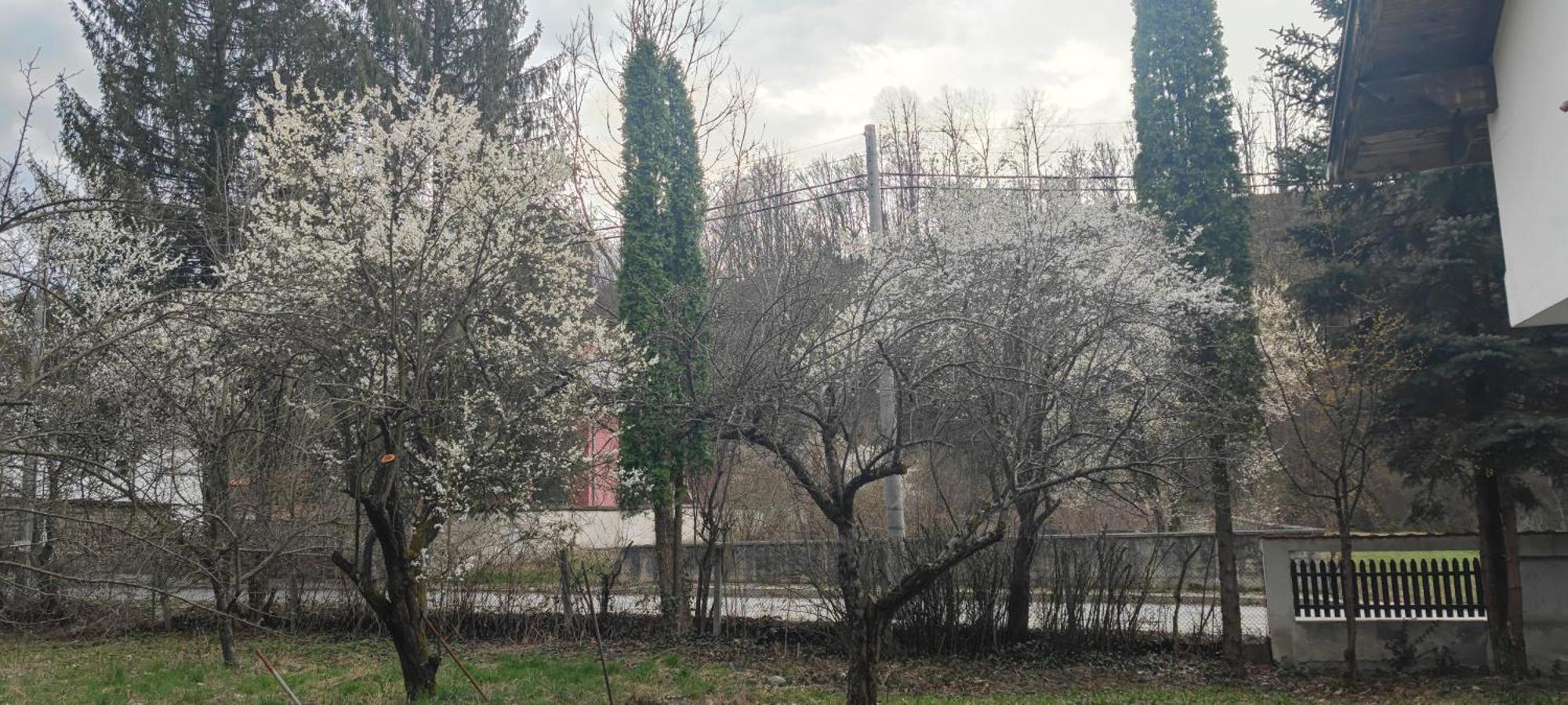 Хан Костина - Han Kostina Рибариця Екстер'єр фото